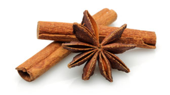Cinnamon sticks and star anise isolated on white background