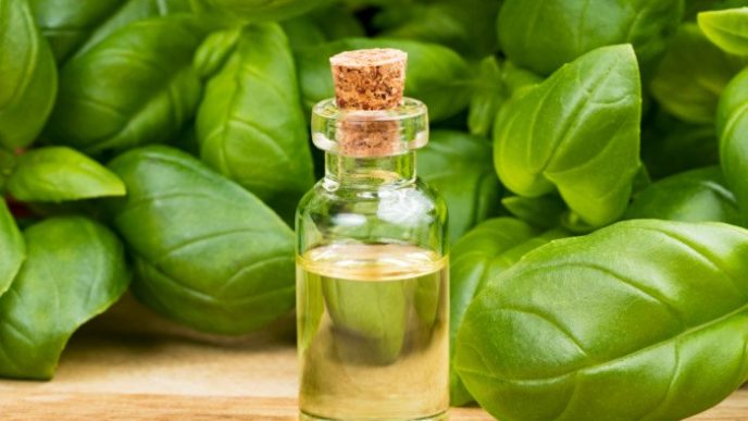 Basil oil 1556867780 4887244.jpeg