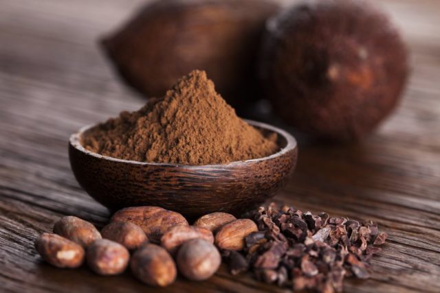 Cacao beans and powder and food dessert background 613233250 5acedc8d18ba01003711a302.jpg