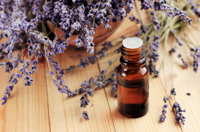 Healing lavender essential oil for beauty treatment and home deodorant