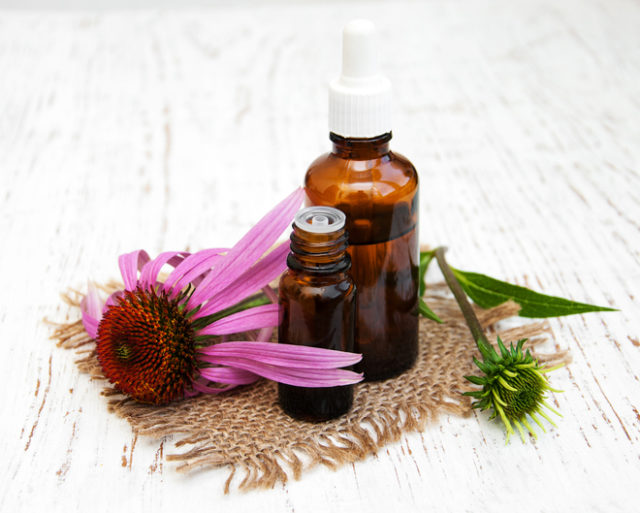 Bottle with essence oil with purple echinacea