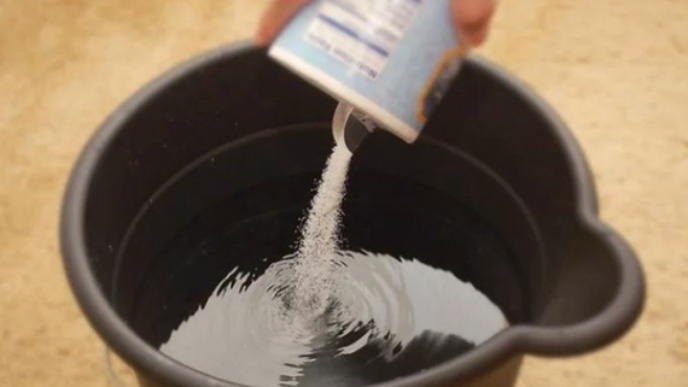 00 5.png