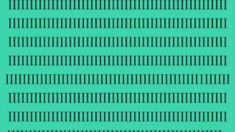 00 17.jpg