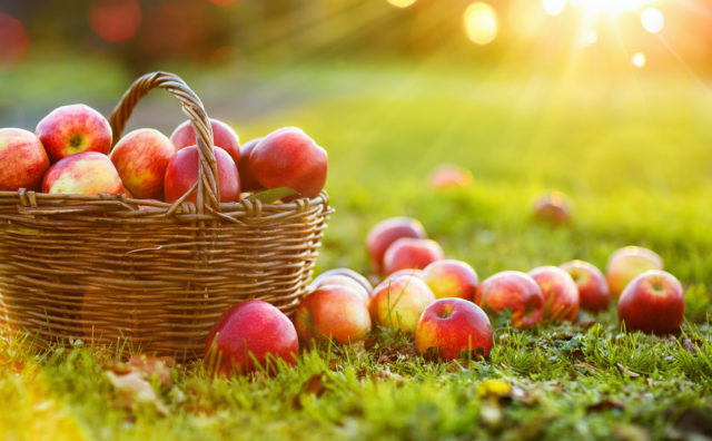 Jablko a zdravie