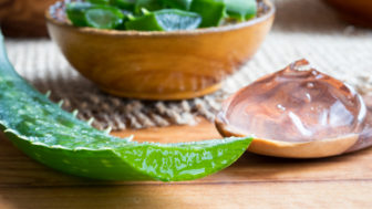 Aloe vera