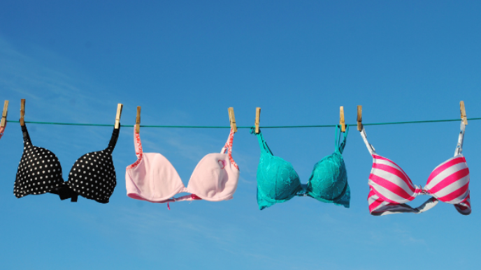 Bra2.png