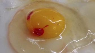 červenú škvrnu po rozklepnutí vajca