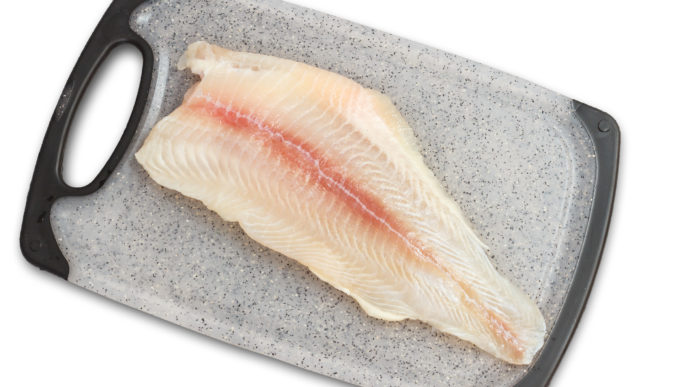 Pangasius