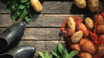 Dajte si do topánok zemiaky