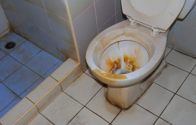 Zbavte sa usadenín v záchodovej mise