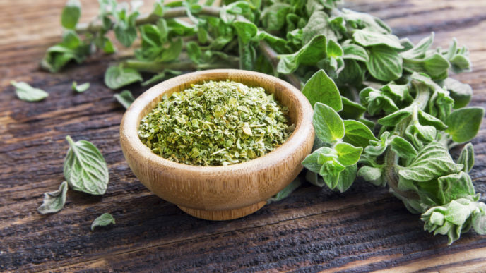 Oregano