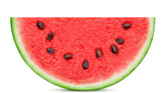 melón