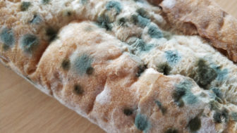 Čo s plesnivým chlebom?