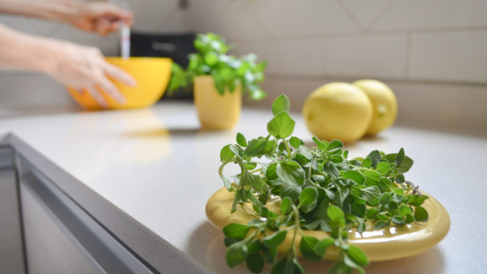 Oregano a citron