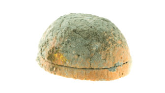 Čo s plesnivým chlebom?
