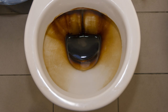 Jednoduchý spôsob, ako vyčistiť záchod