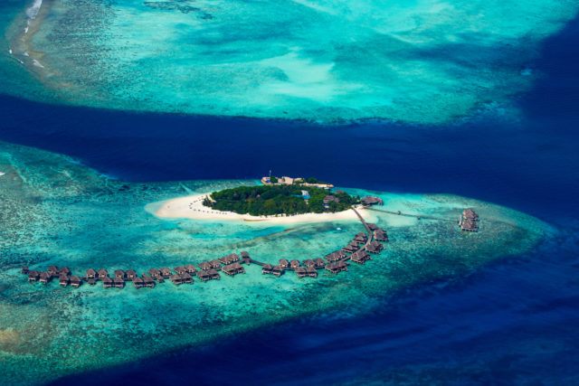 Maldivy