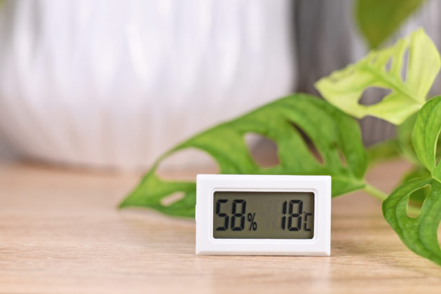 Aká teplota by mala byť vo domácnosti?
