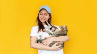 Prečo nás mačky často masírujú labkami?