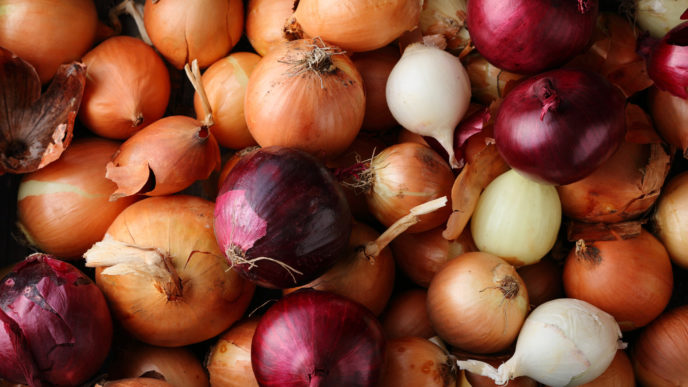 The Onion