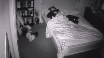 Majiteľka zistila, prečo jej pes v noci breše a vyvádza