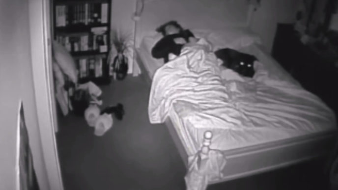 Majitelka zjistila, proč její pes v noci pláče a vzteká se