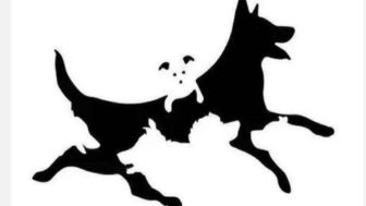 Spočítate, koľko je psov na obrázku?