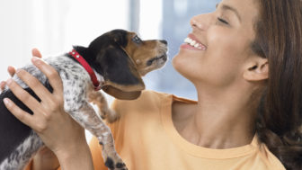 pes dokáže vycítiť z dychu