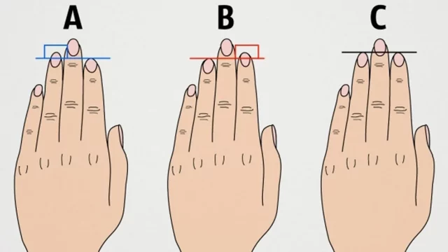 dĺžka vašich prstov