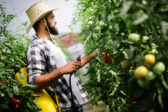 Spaying,Vegetables,With,Water,Or,Plant,Protection,Products,Such,As