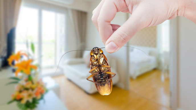 už vás nikdy nebudú otravovať muchy, šváby ani komáre