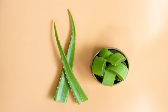 aloe vera