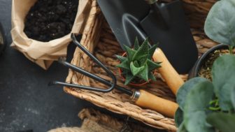 Cactus,And,Gardening,Tools,On,Dark,Wooden,Background,With,Space