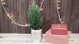 stromček v kvetináči