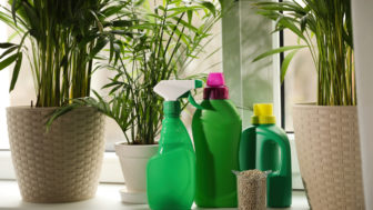 hnojivo pre izbové rastliny