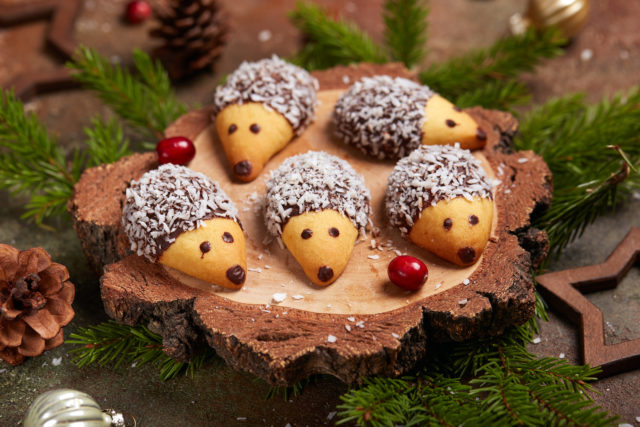 vianočný ježkovia