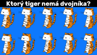 Dokážete nájsť tigra, ktorý nemá dvojníka?