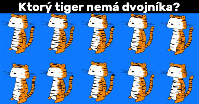 Dokážete nájsť tigra, ktorý nemá dvojníka?