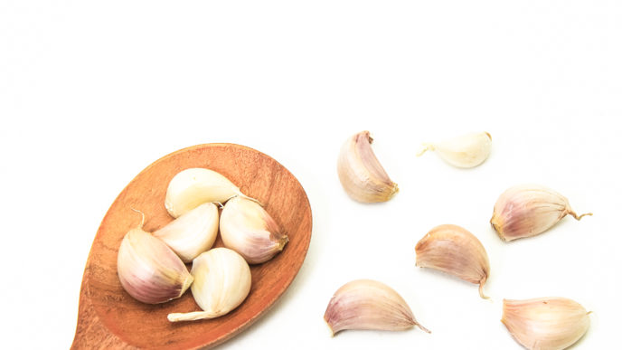 cesnak