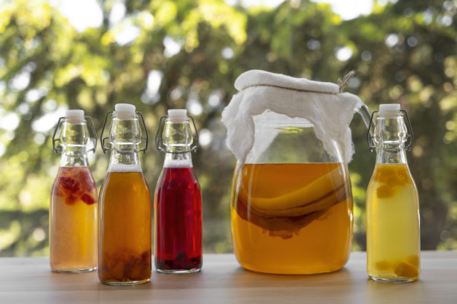 domáca kombucha