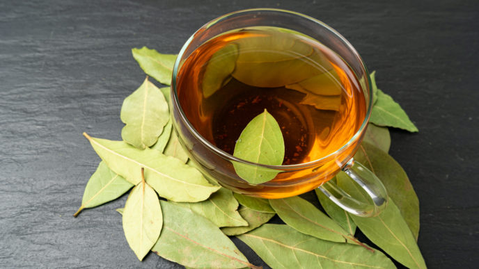 Čaj z obyčajného bobkového listu