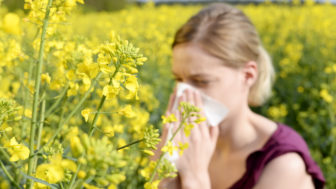 alergia na peľ