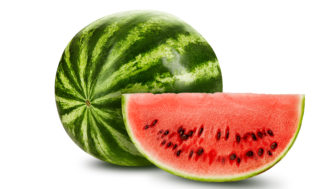 melón