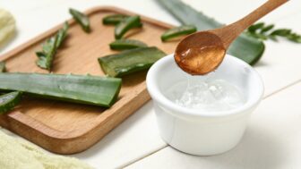 aloe vera