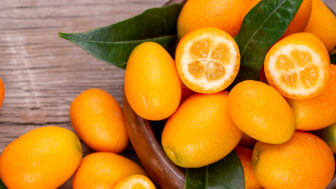 Kumquat