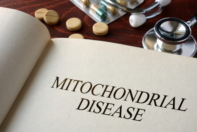 mitochondria