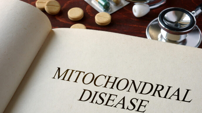 mitochondria