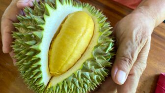 durian