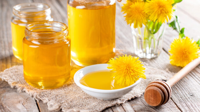 púpavový sirup