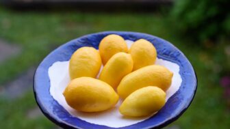 Limequat